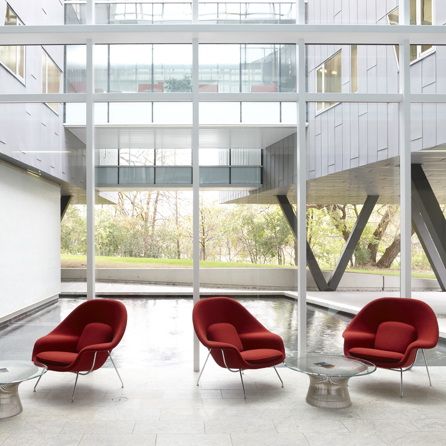 Knoll